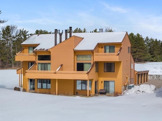4749 S Pleasantview Rd Unit 43, Harbor Springs, MI 49740