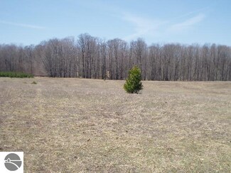 V/L Farnsworth Rd, Brethren, MI 49619