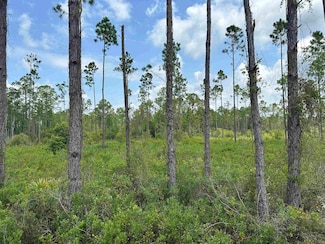 Tract 90 Circle Block Loop, Perry, FL 32348