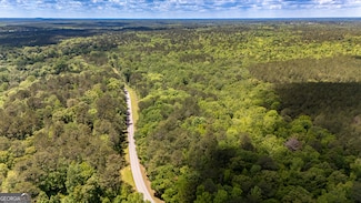 37.23 ACRES / 0 Smokey Rd, Lagrange, GA 30241