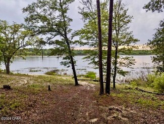 TBD Dove Ct, Chipley, FL 32428