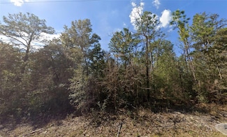 0 Canyon Swallow Rd Unit Lot 5 MFRS5127068, Weeki Wachee, FL 34614