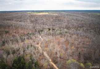 0 Ray Hicks Rd Unit MAR25020733, Viburnum, MO 65566