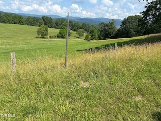 TBD Locust Gap Rd, Mountain City, TN 37683