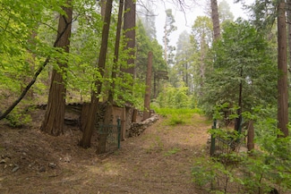 710 Blue Jay Canyon Rd, Lake Arrowhead, CA 92352