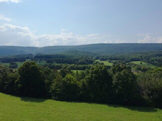 19.96 Ac. Pennine Rd, Spring City, TN 37381