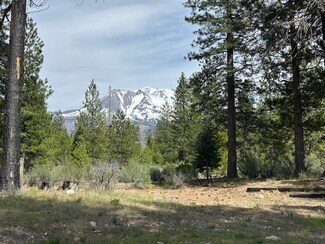 2324 Black Butte Dr, Weed, CA 96094
