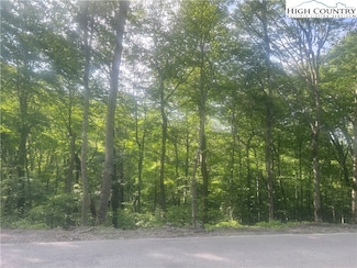 TBD Grouse Moor Dr, Sugar Mountain, NC 28604