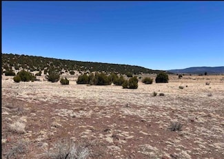 2593 New Mexico 12, Aragon, NM 87820