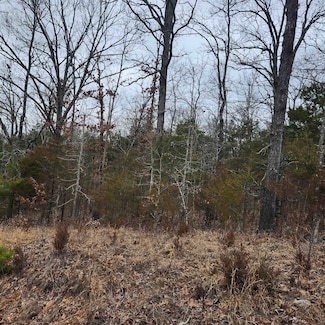 L10, B01 Hiawatha Dr, Cherokee Village, AR 72529