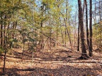 61 Canterbury Shore Dr, Canterbury, NH 03224