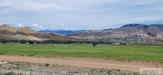 4457 Challis Creek Rd, Challis, ID 83226