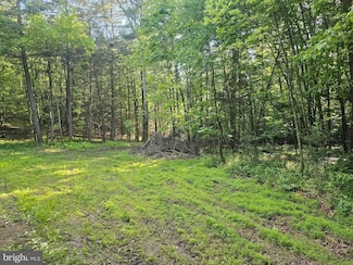 195 Knotty Pine Rd, New Bloomfield, PA 17068