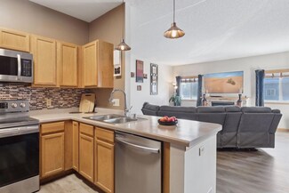 610 Woodduck Dr Unit D, Woodbury, MN 55125