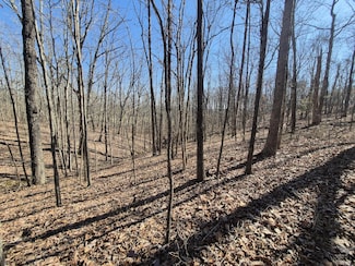 61 Teludachee Trail, South Pittsburg, TN 37380