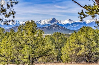 2375 P Path, Cotopaxi, CO 81223