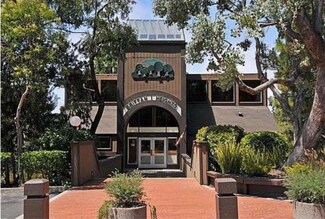 3321 Brittan Ave Unit 5, San Carlos, CA 94070
