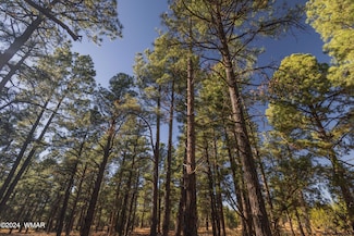 039K Dynamite, Lakeside, AZ 85929