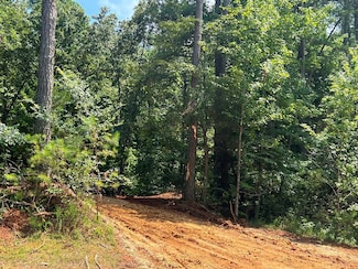 217 Strike King Dr, Cedar Grove, TN 38321