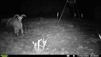 838 Farm To Market 573, Mullin, TX 76864