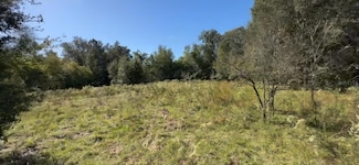 2309 Garfield St, Inverness, FL 34453