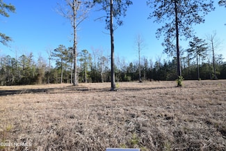 104 Warbler, New Bern, NC 28560