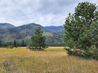 Lot 4 Harbine Ranch Rd, Plains, MT 59859