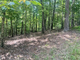 Lot 3279 Haven Ct, Ellijay, GA 30540