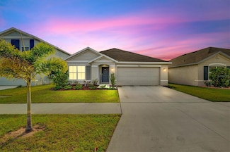 16746 Parker River St, Wimauma, FL 33598