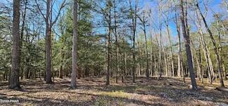 Lot 85 Perry Pond Rd, Tusten, NY 12764