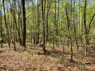 00 John Cox Rd, Deer Lodge, TN 37726