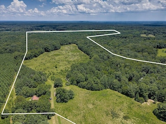 6925 Cobbham Rd, Appling, GA 30802