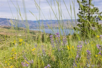 23 Eagle Crest (Lot 23) Rd, Chelan, WA 98816