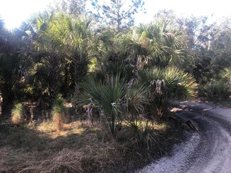 No Address Ave, Cocoa, FL 32922