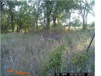 0 25th Rd Unit AVE V 365588, Sterling, KS 67579