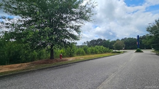 Lot 5 U S 231, Ozark, AL 36360
