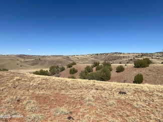 0 County Road N5335 Unit 256204, Concho, AZ 85924