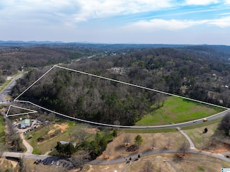 3450 Sweeney Hollow Rd, Bradford, AL 35126