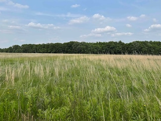 TBD Ambers Rd, Urbana, IN 46990