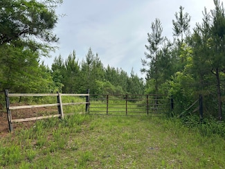 0 Mcdade Rd Unit 23668135, Eatonton, GA 31024