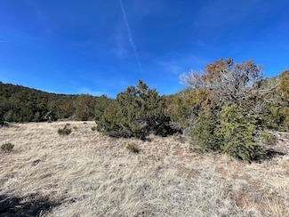 41 Canon Escondido, La Madera, NM 87047
