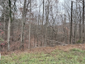 0 Cheyenne Dr Unit RTC2765005, Jamestown, TN 38556