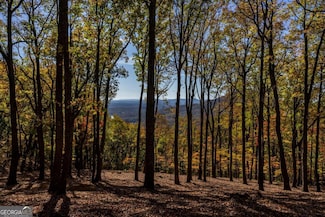 40.5 ac Windsong, Jasper, GA 30143