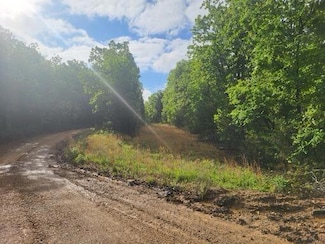 Tbd County Road 804, Gainesville, MO 65655