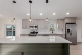 60 Deer St Unit 60, Golden, CO 80401