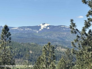 NKA S Fork Ridge Rd, Smelterville, ID 83868