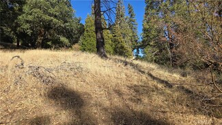 0 Unknown Unit CV24254557, Cedarpines Park, CA 92322