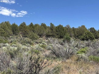 0 Medicine Mountain Dr Unit 1 367771913, Beatty, OR 97621