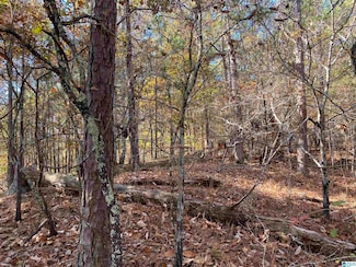 914 Paradise Point Dr Unit 14, Columbiana, AL 35051