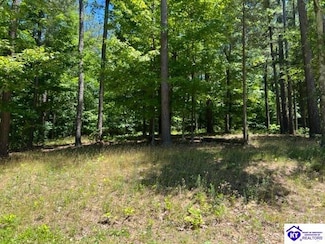 309 Marina Point Ln, Falls of Rough, KY 40119